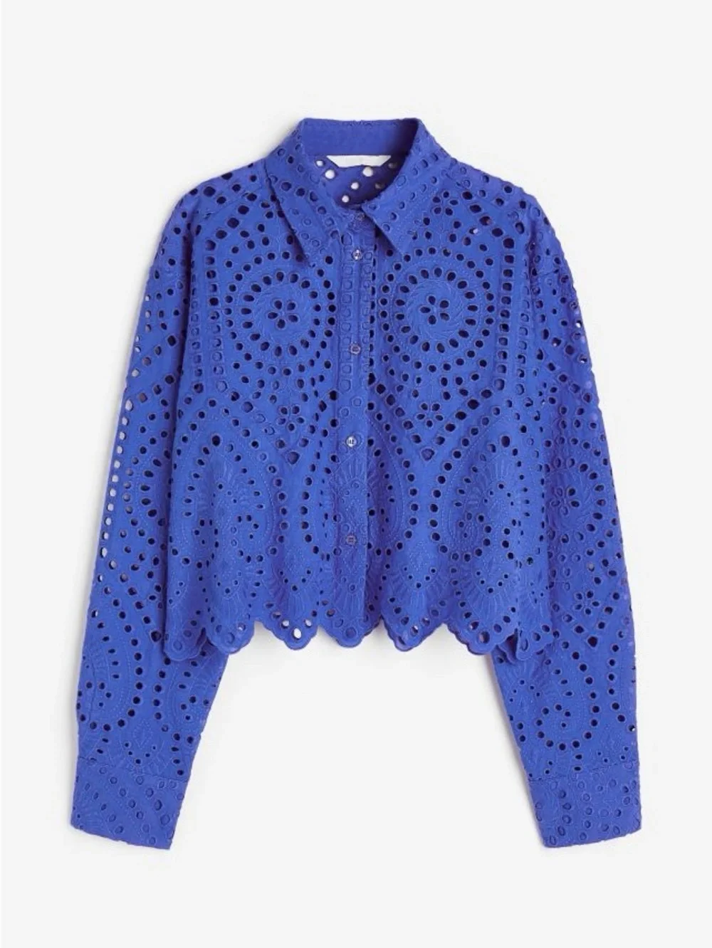 Eyelet Embroidered Button-Front Shirt